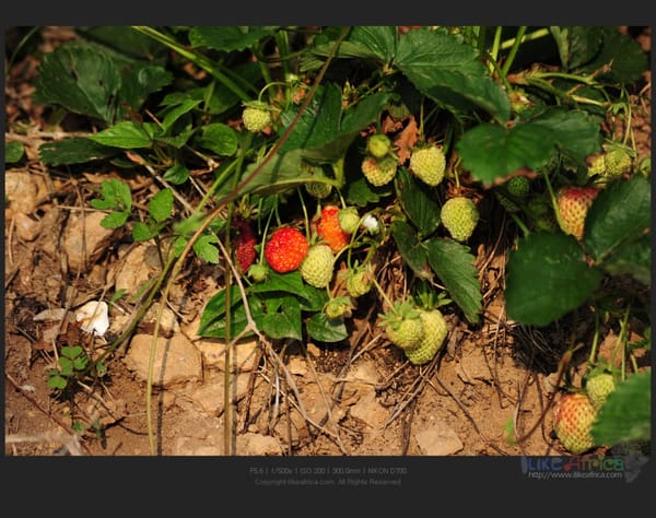 고향 시골집 소소한 모습들