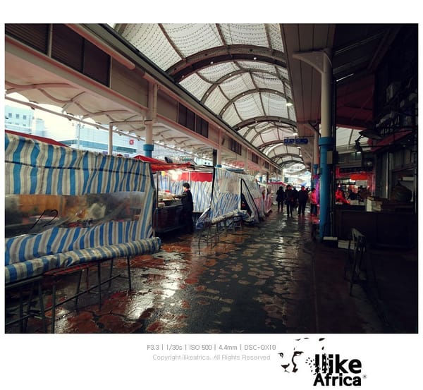 설날 여수 나들이