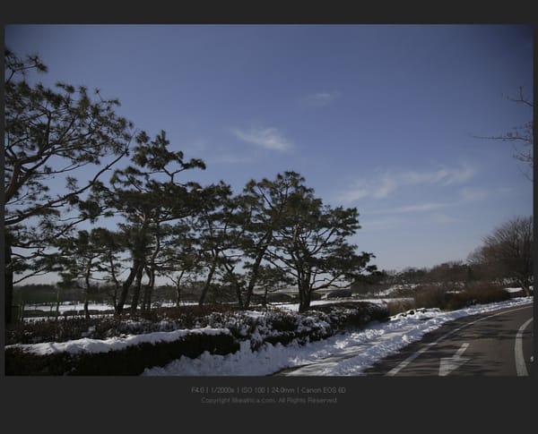 눈 쌓인 일산 호수공원