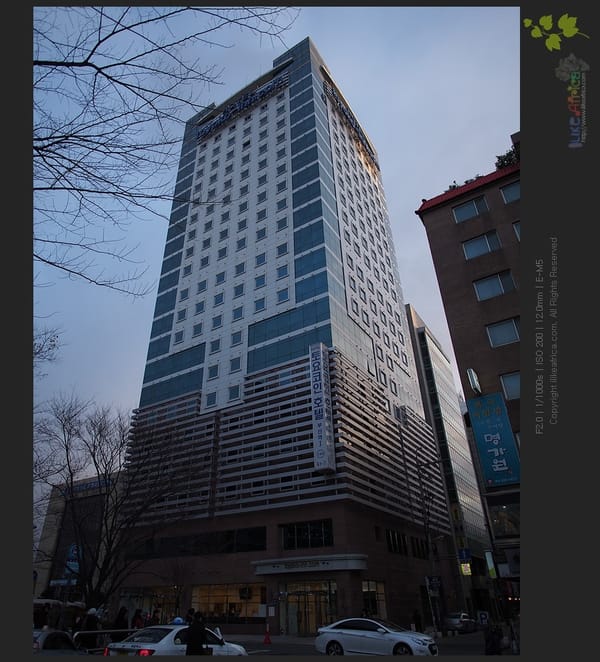 다시 찾은 부산