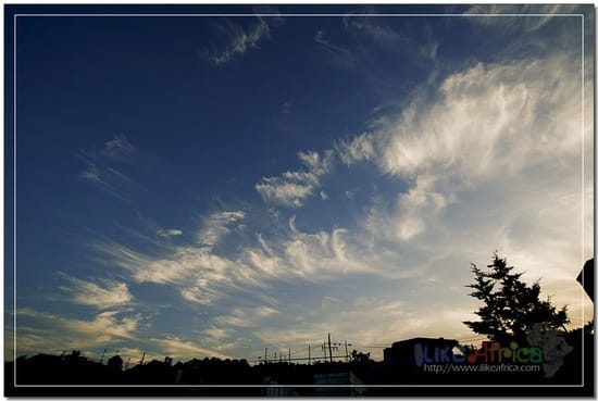 필터 잠깐 끄적였을 뿐인데..