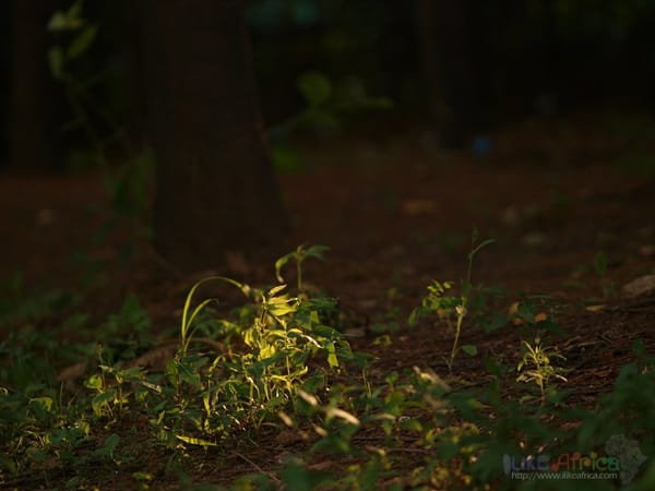 거기에 사람 있었다