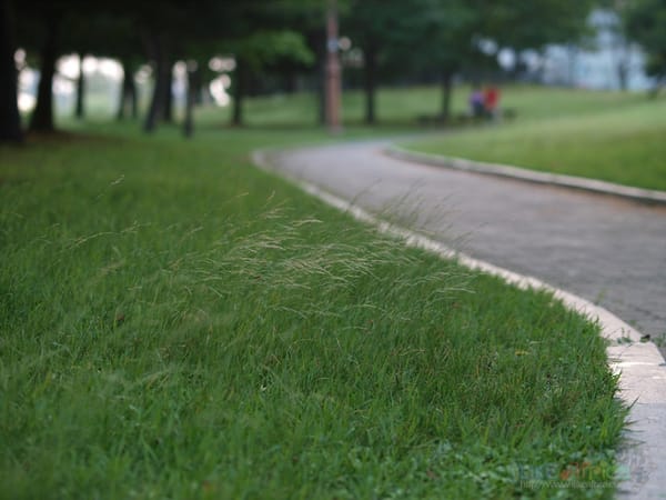 함께 하지 않아도 함께 있어요.