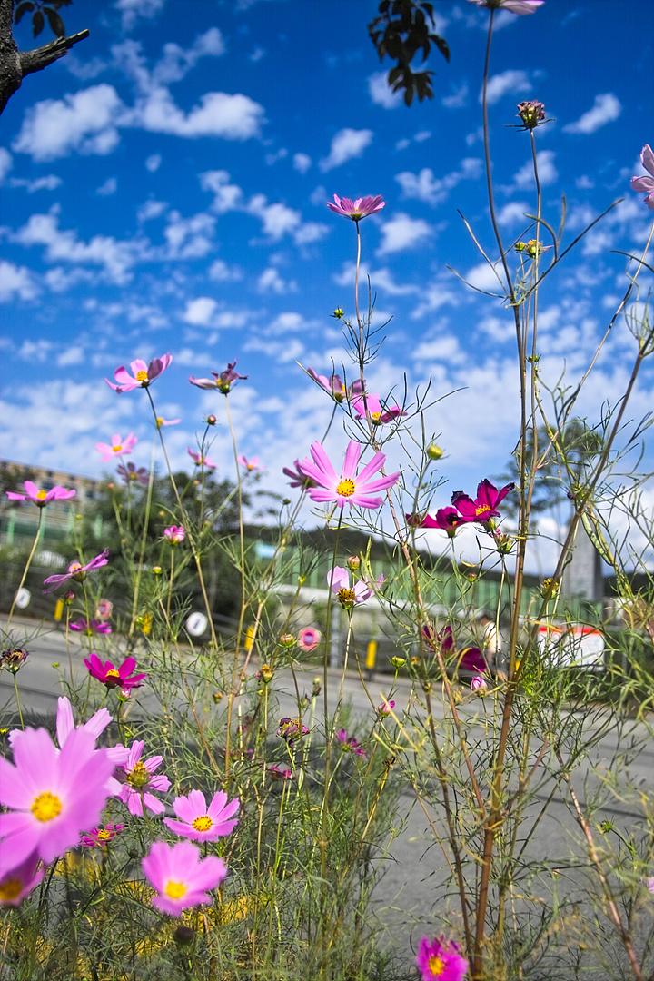 오래전 사진 올리기 - image 1