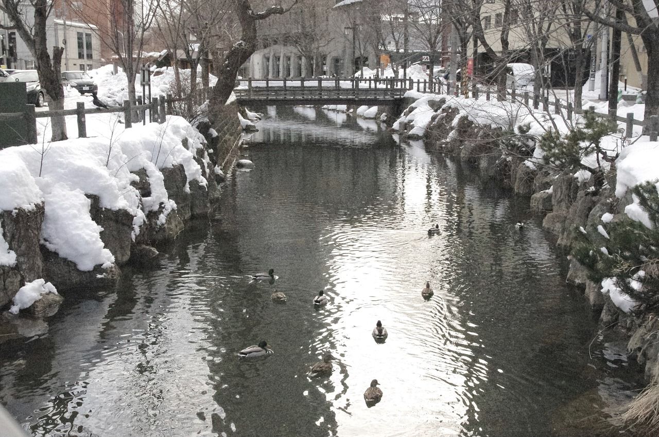 Sapporo, Japan에서 눕콍의 추천 놀터들