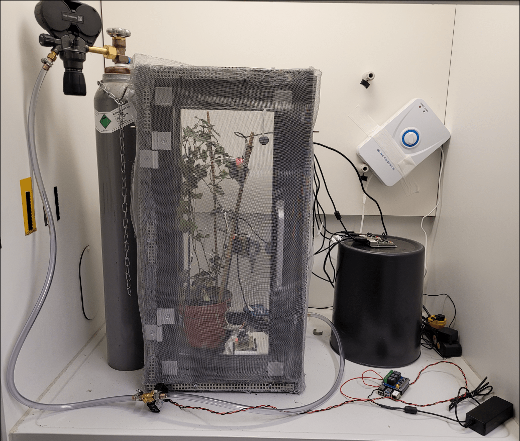 Automated Phytosensing: Ozone Exposure Classification Based on Plant Electrical Signals (자동화 된 식물 센싱 : 식물 전기 신호를 기반으로 한 오존 노출 분류)