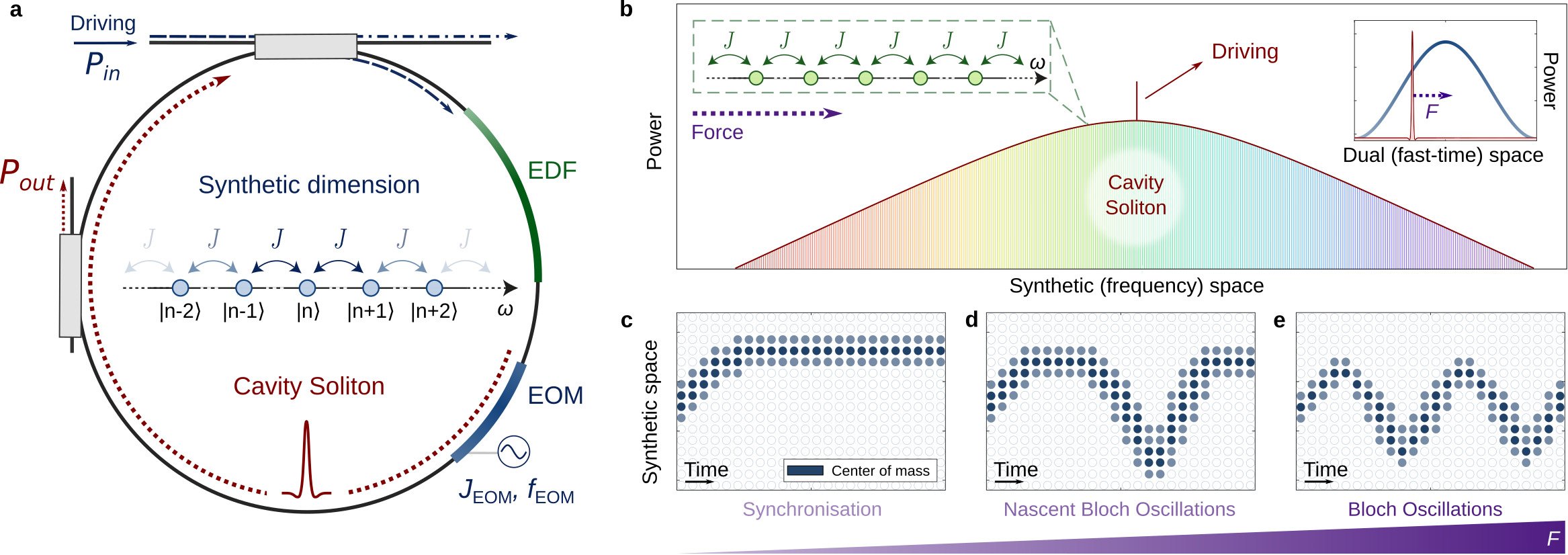 Bloch Oscillations of Driven Dissipative Solitons in a Synthetic Dimension (합성 차원에서 구동 소산 솔리톤의 블로 락 진동)