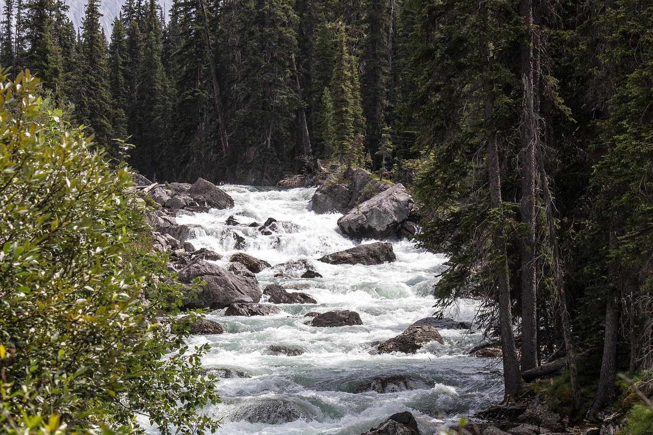 Explore Calgary in Canada