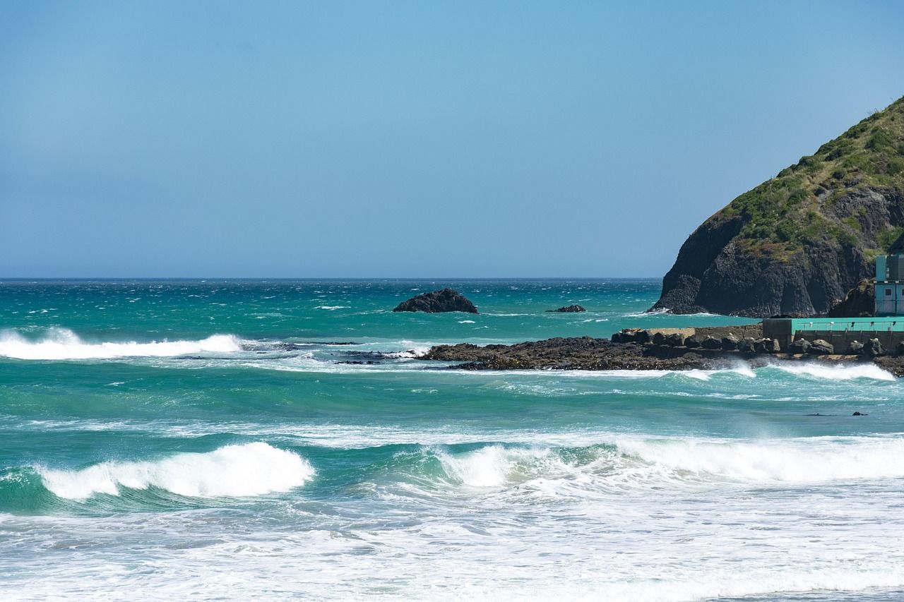 Explore Dunedin in New Zealand - Main View