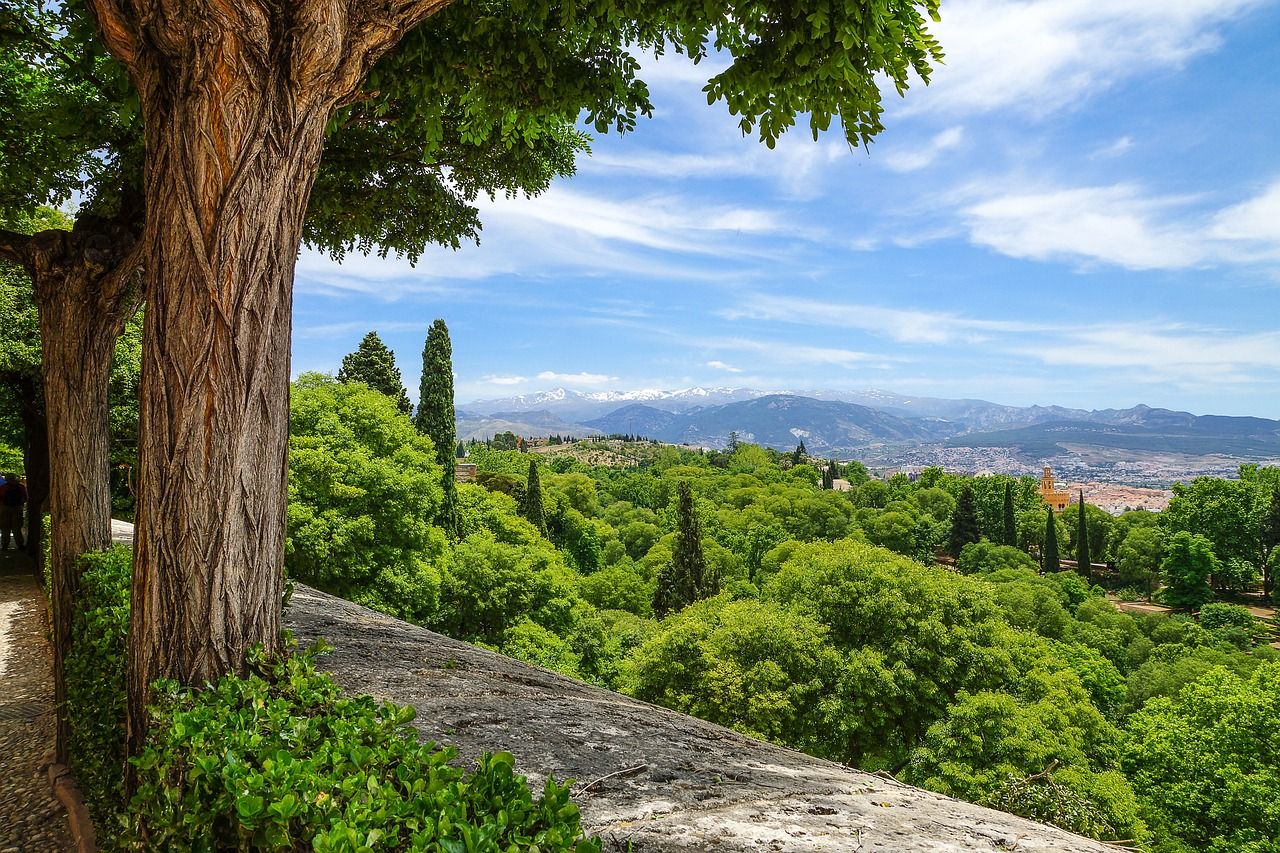 Explore Granada in Spain