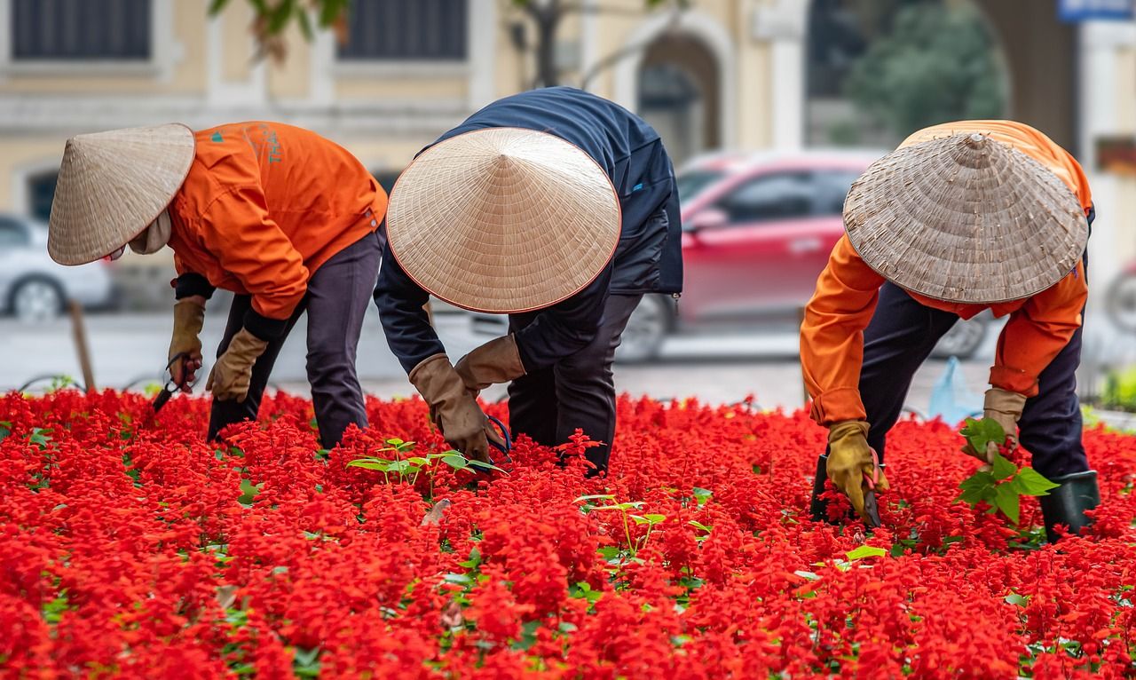 Explore Hanoi in Vietnam - Main View