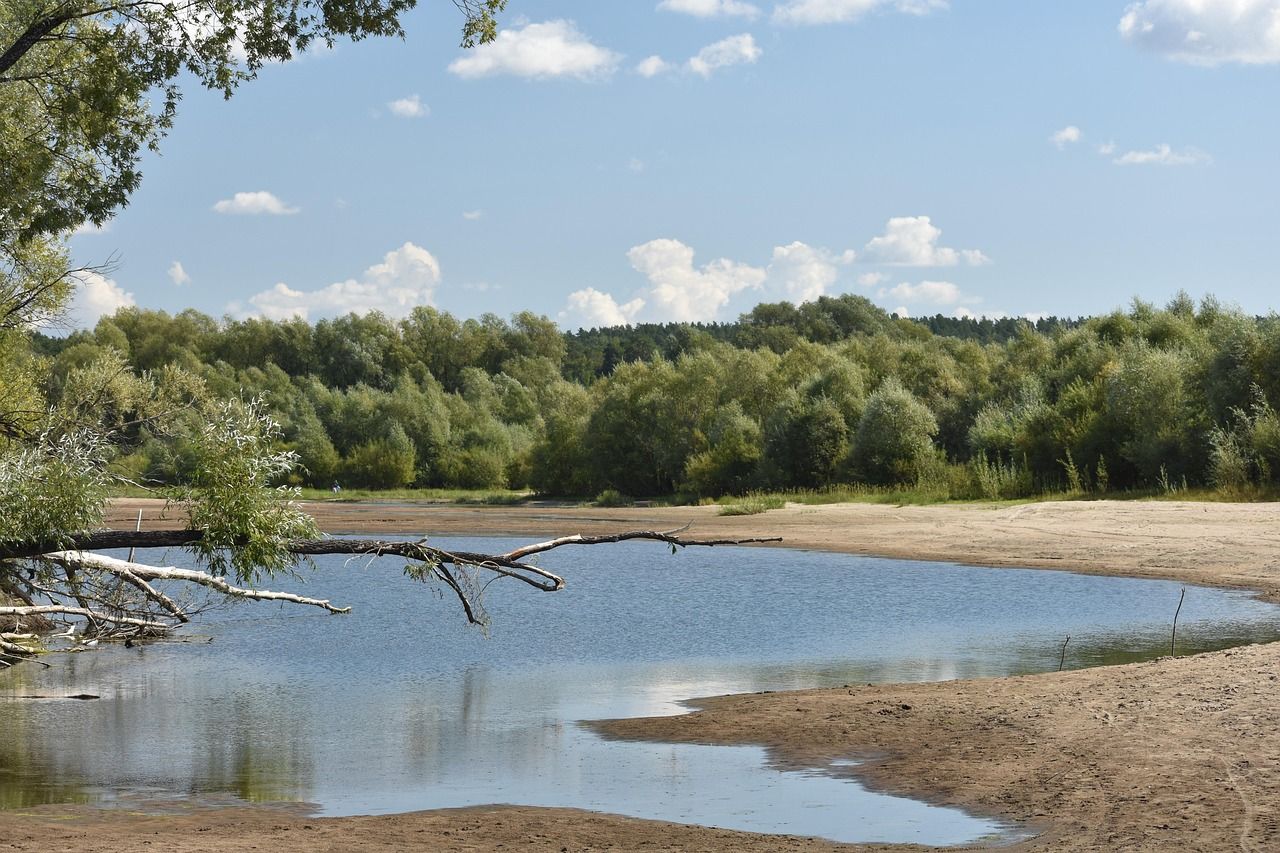 Explore Novosibirsk in Russia - Main View