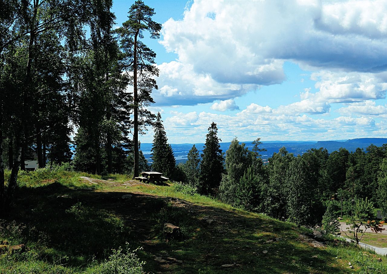 Explore Oslo in Norway