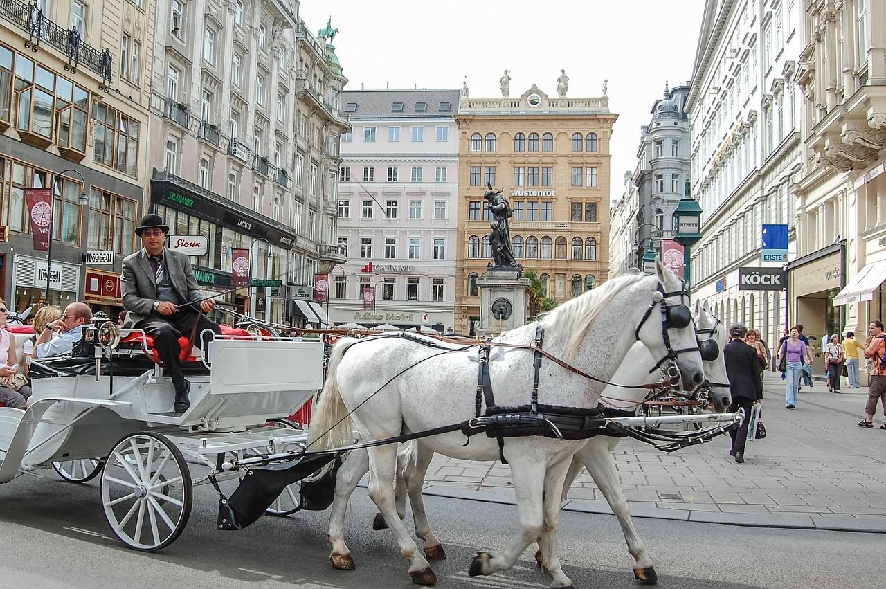 Explore Vienna in Austria - Main View