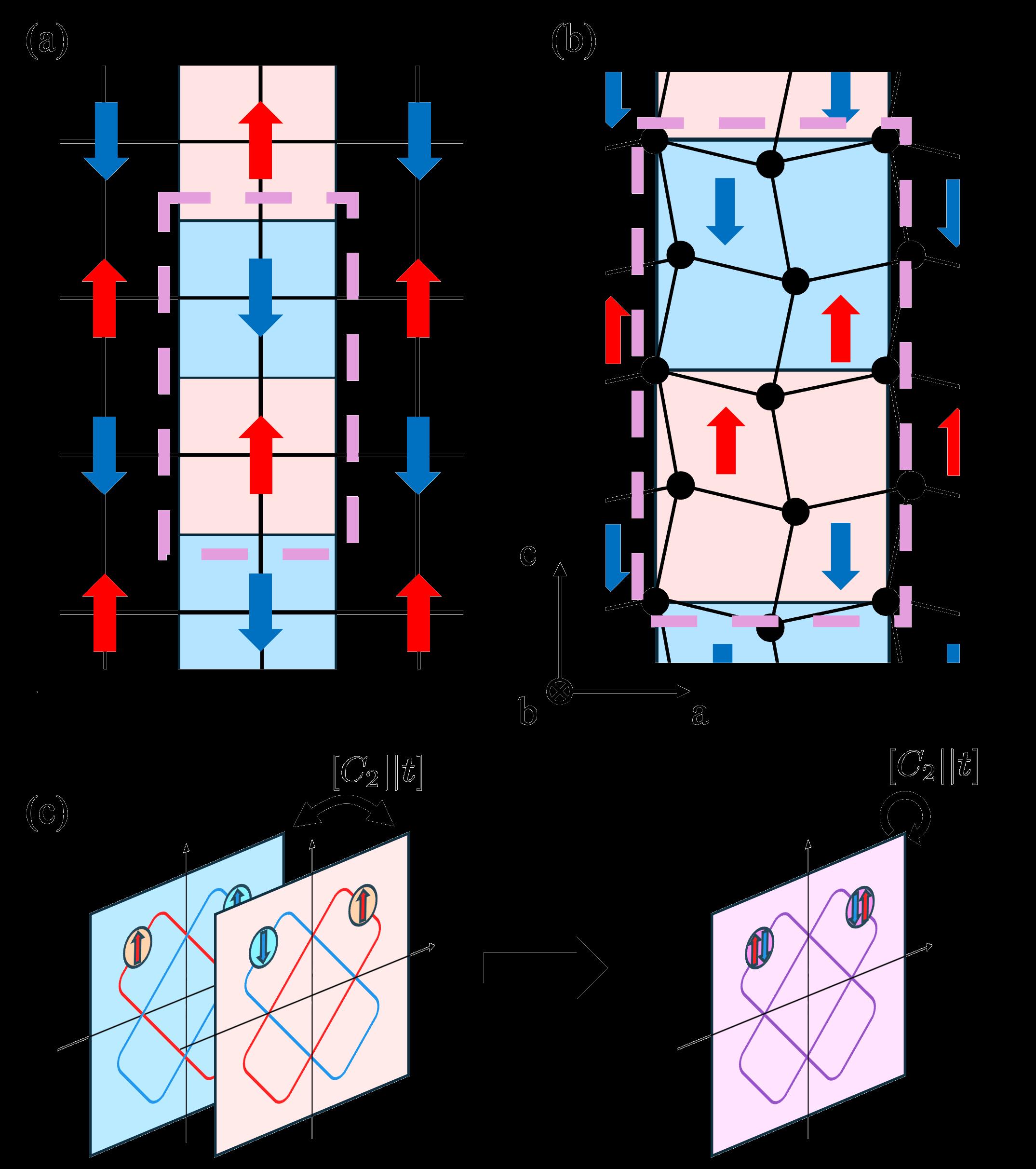 Multiferroic Collinear Antiferromagnet with Hidden Altermagnetic Split