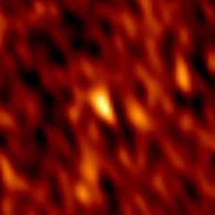 Sulphur monoxide exposes a potential molecular disk wind from