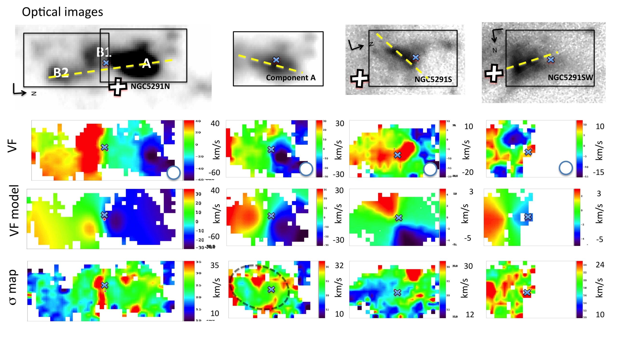Young tidal dwarf galaxies cannot be used to probe dark