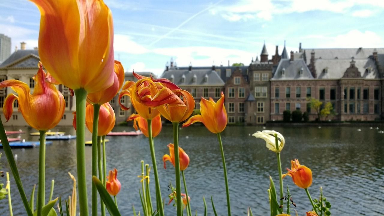 가고싶은 Netherlands의 The Hague - 대표 이미지