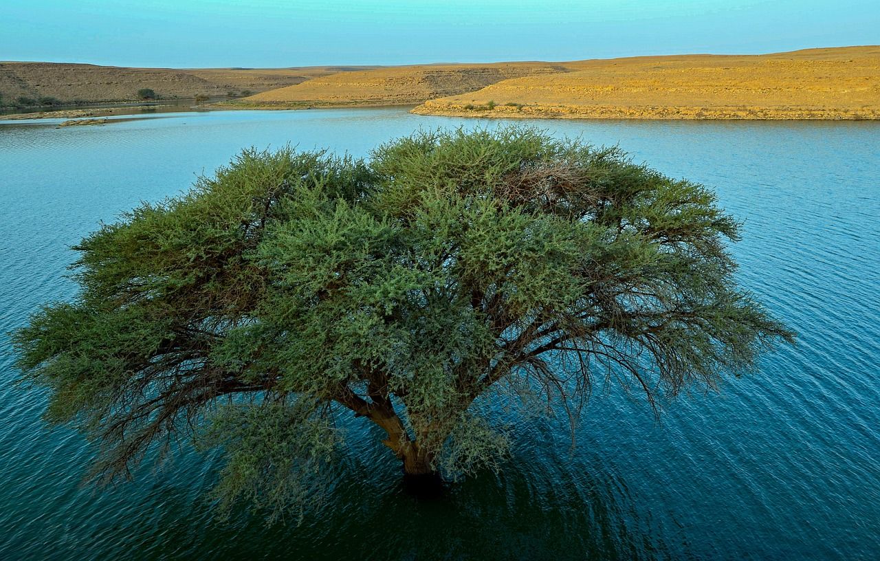 가고싶은 Saudi Arabia의 Riyadh